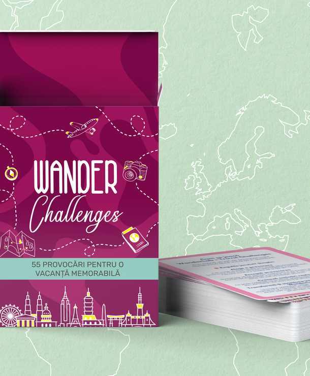 WANDER Challenges