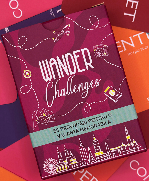 WANDER Challenges
