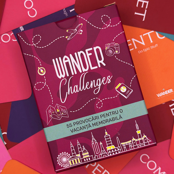 WANDER Challenges