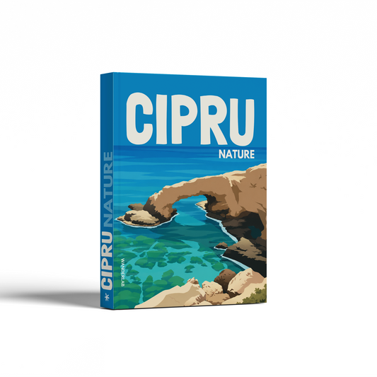 CIPRU 03
