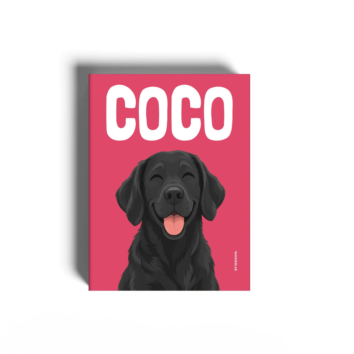 PETS 026