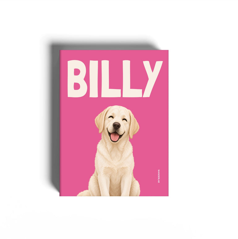 PETS 024