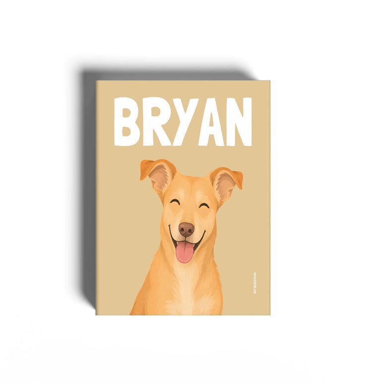 PETS 028
