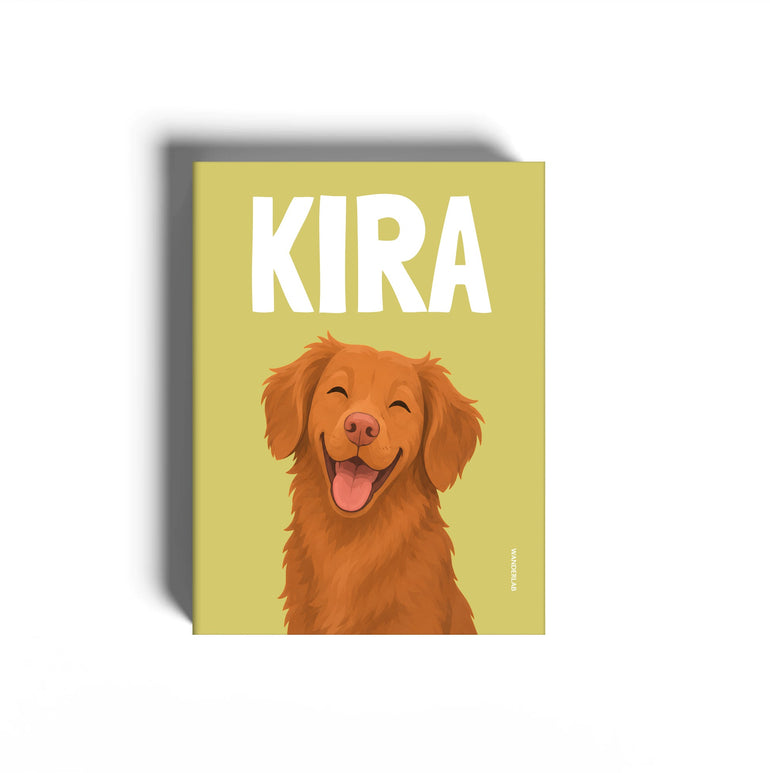 PETS 010
