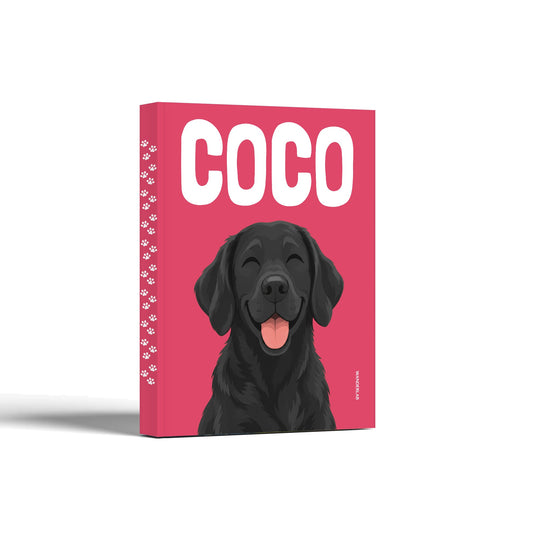 PETS 026