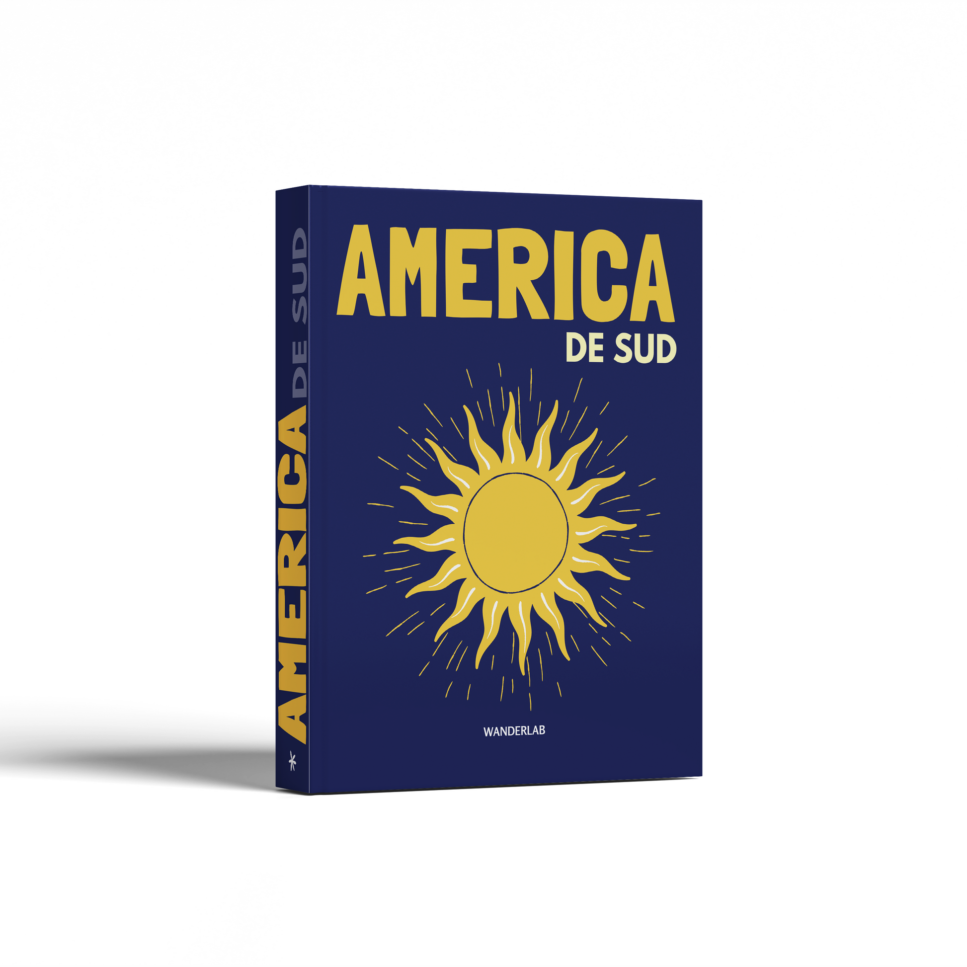 AMERICA DE SUD