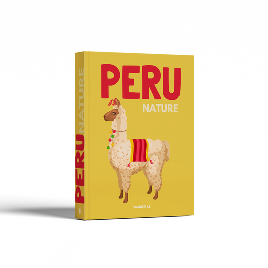PERU 02